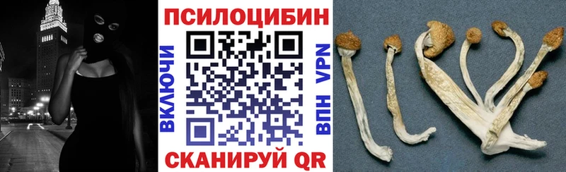 Псилоцибиновые грибы Cubensis  что такое наркотик  Мурино 